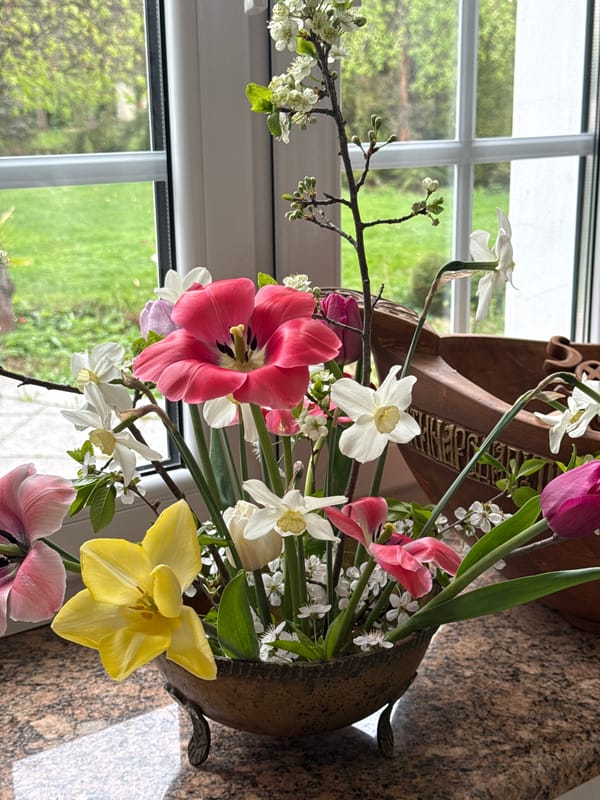 Spring flowers and rural roads documented in Sapronovo, Russia