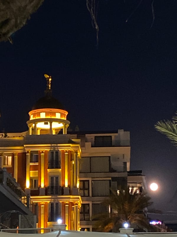 Evening moments captured in Alanya: moonlit cityscape, red roses