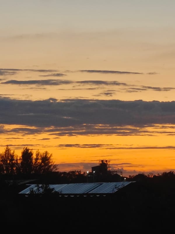 Sunset views, kids, and a chinchilla in Hadiach