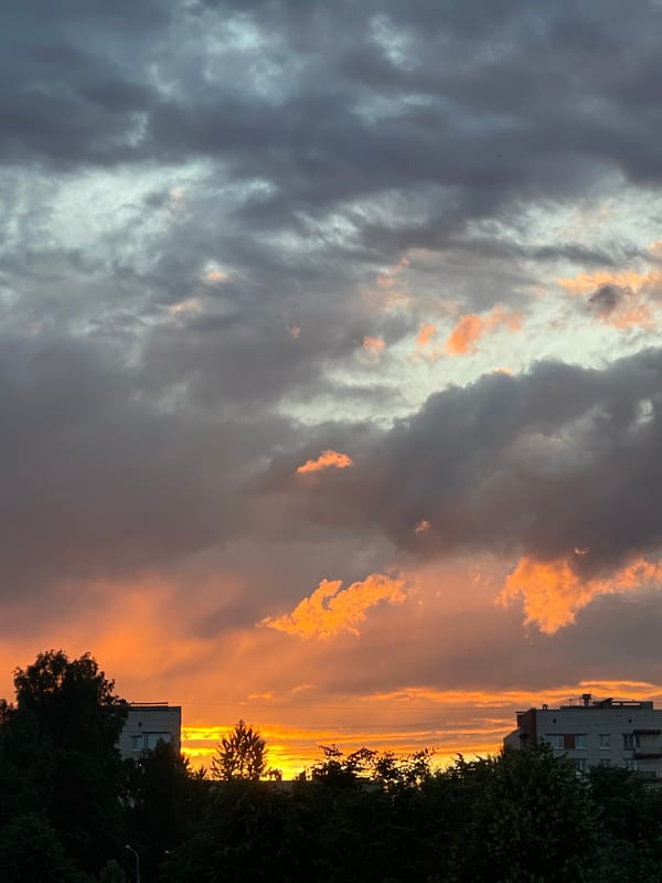 Dramatic sunset over a urban waterway, ducks included