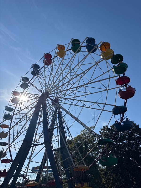 Morning park visit captures Ferris wheel, gardens, pigeons, riverside walks