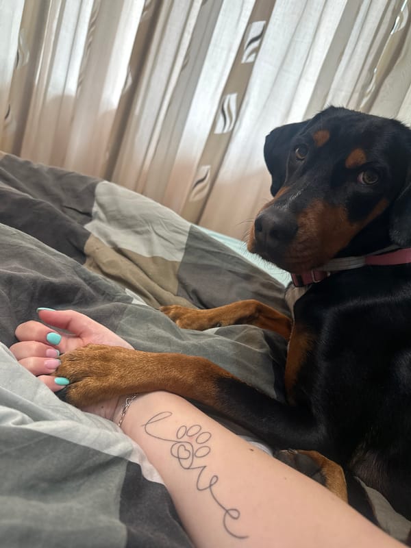Quiet morning moment between dog owner and pet in Varna