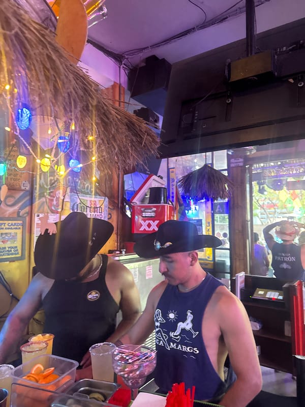 Cinco de Mayo celebration documented at West Hollywood bar