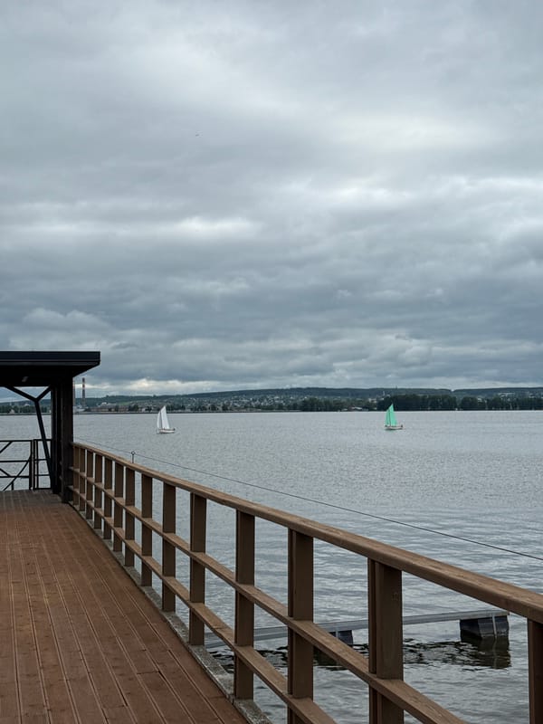 Sailboats spotted on Votkinsk Reservoir under overcast skies