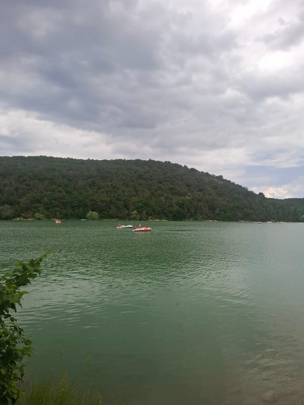 Morning at Lake Sukko: zip-lining, blooms, and green water