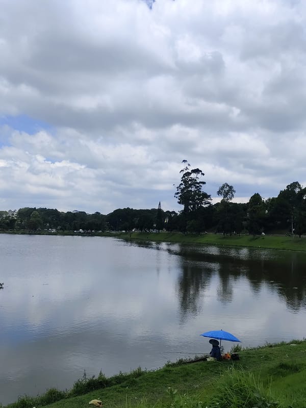 Tranquil lake scene documented in Da Lat, Vietnam
