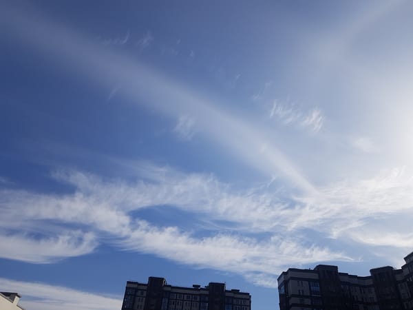Witness captures afternoon cirrus clouds over Saint Petersburg skies