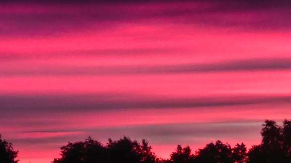 Striking summer sunset over Saint Petersburg's outskirts