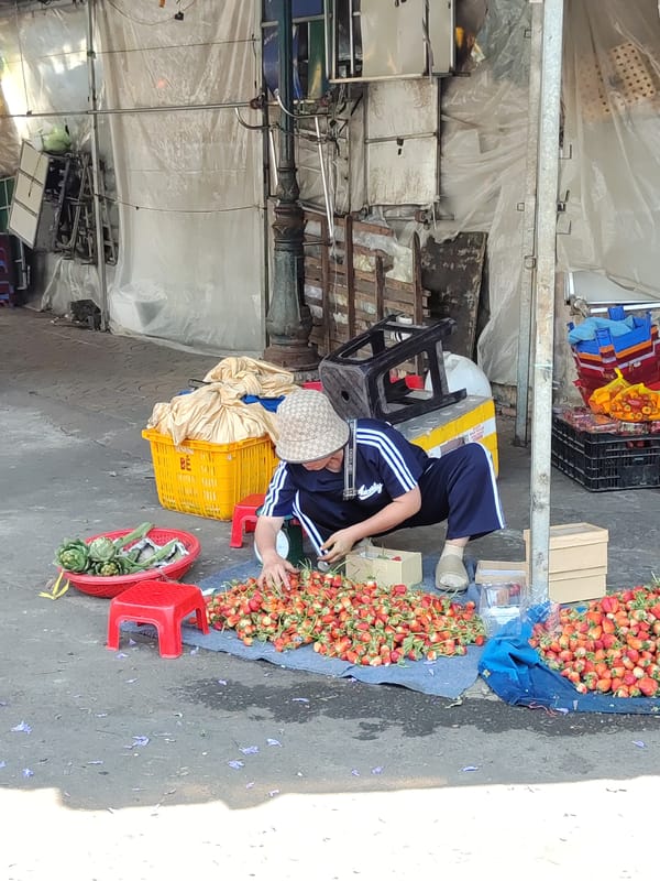 Morning scenes from Da Lat's vibrant flower markets documented