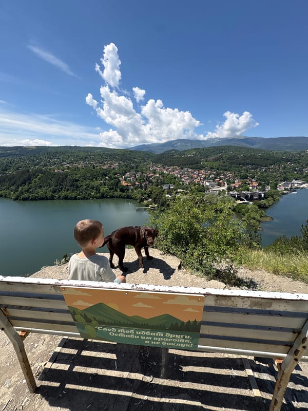 Dog and child at a lakeside overlook on a clear morning