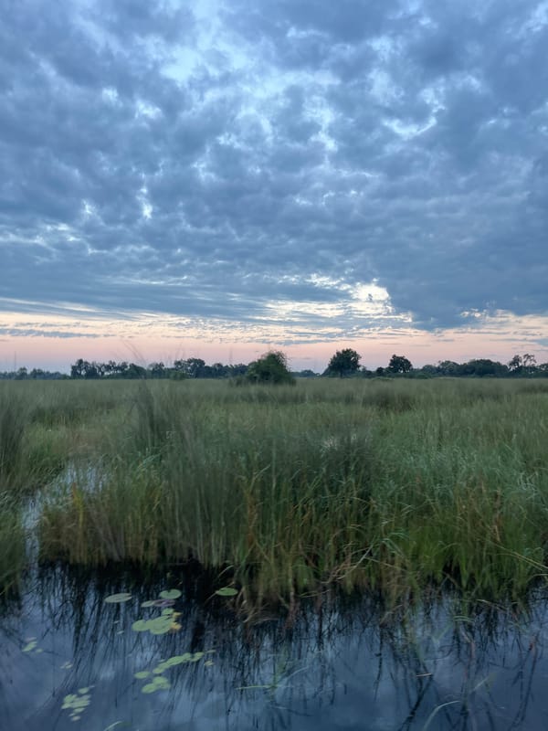 Safari lodge documented in Botswana during early morning hours