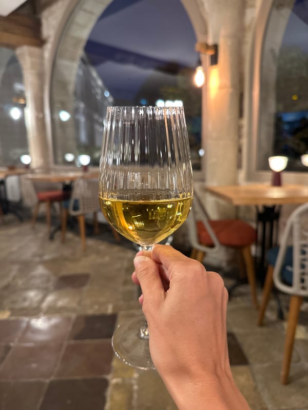 Evening out in northern France: selfies and white wine