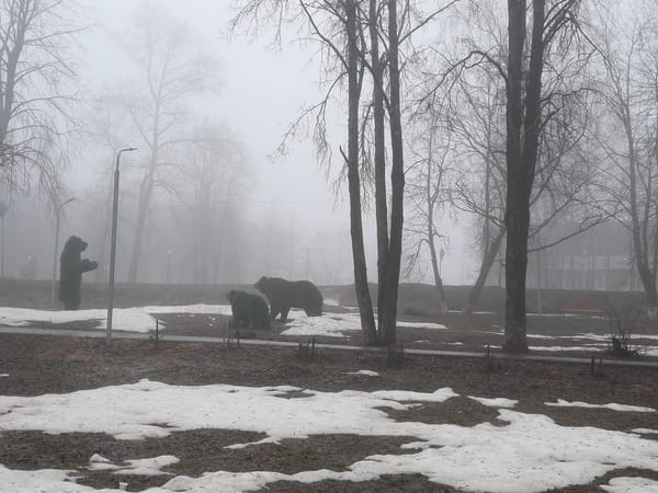 Foggy spring thaw documented in Krasnogorskoye, Russia