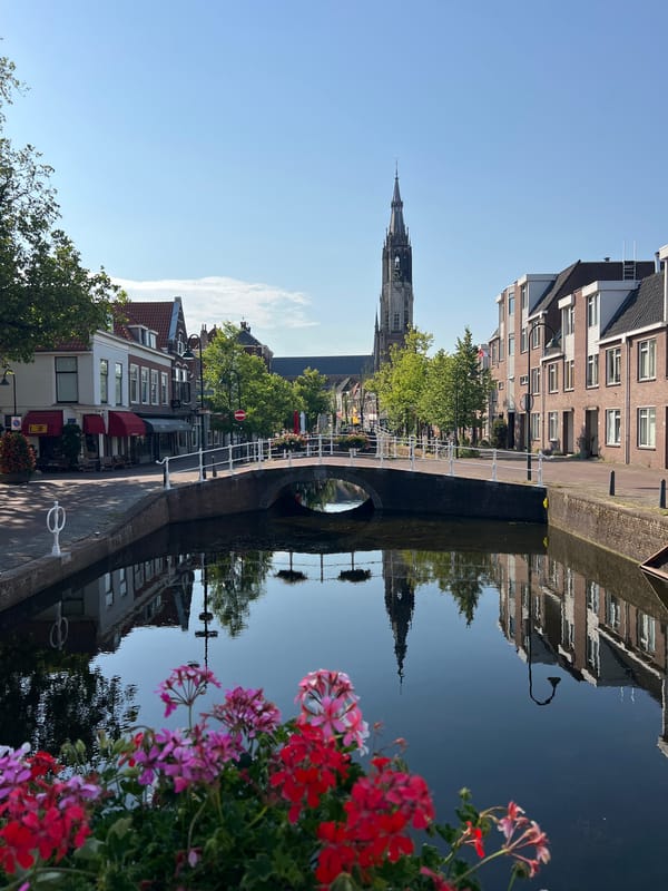 Blooming flowers along a Delft canal in summer