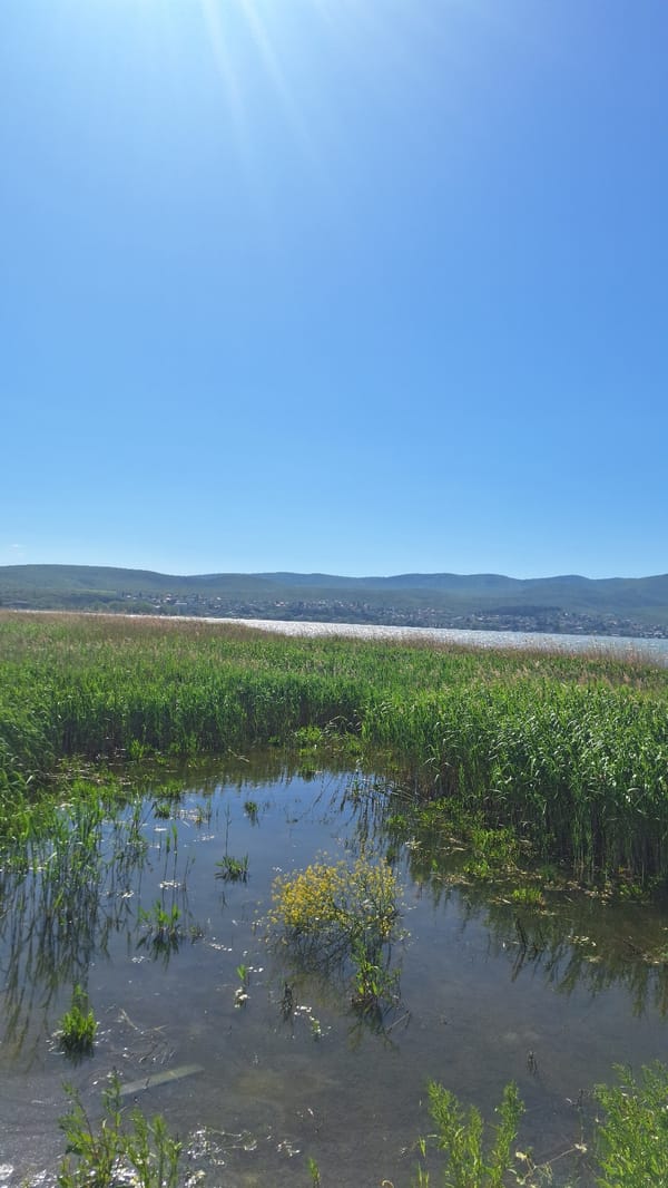 Spring day documented at Lake Doirani, Greece wetlands