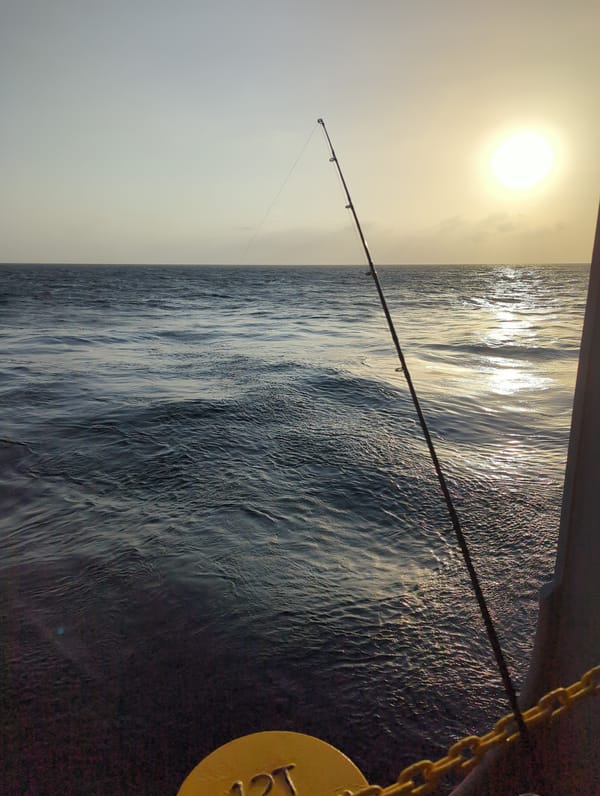 Fishing off Ussangoda at golden hour, rod over open ocean