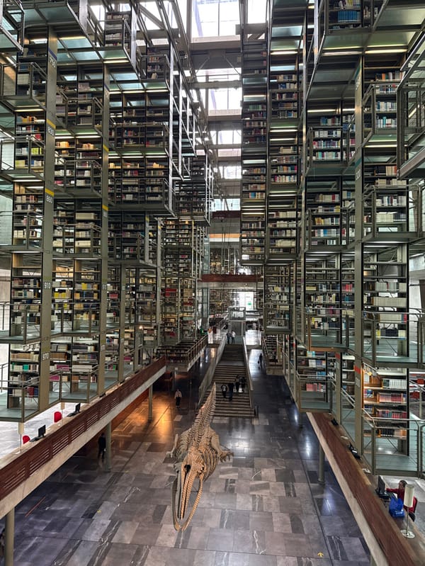 Mexico City library displays whale skeleton among floating bookshelves