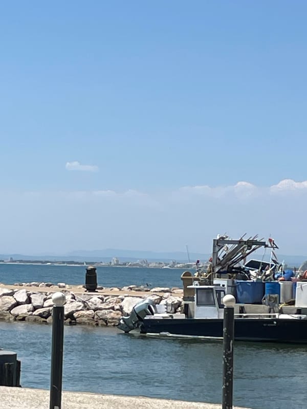 Lunch and harbor views at Catamaran Providence