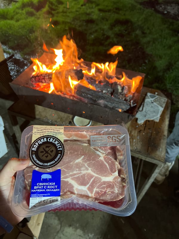 Evening barbecue gathering with grilling preparation in rural Bulgaria