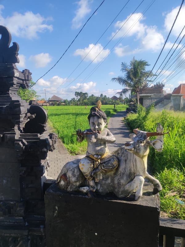 Traditional Balinese sculptures and architecture documented in Sayan