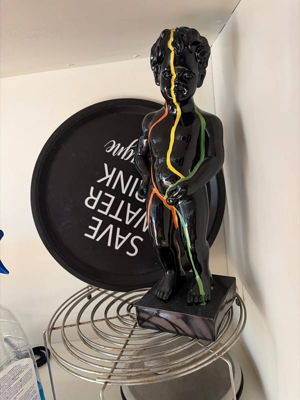 Everyday moments captured in Antwerp: decorated statue, cat with beer