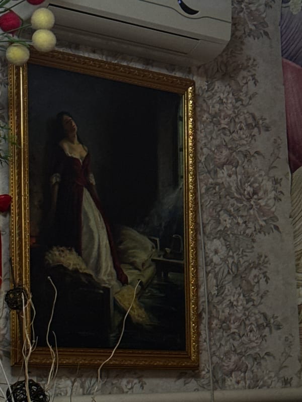 Witness documents vintage-decorated home interior over six minutes