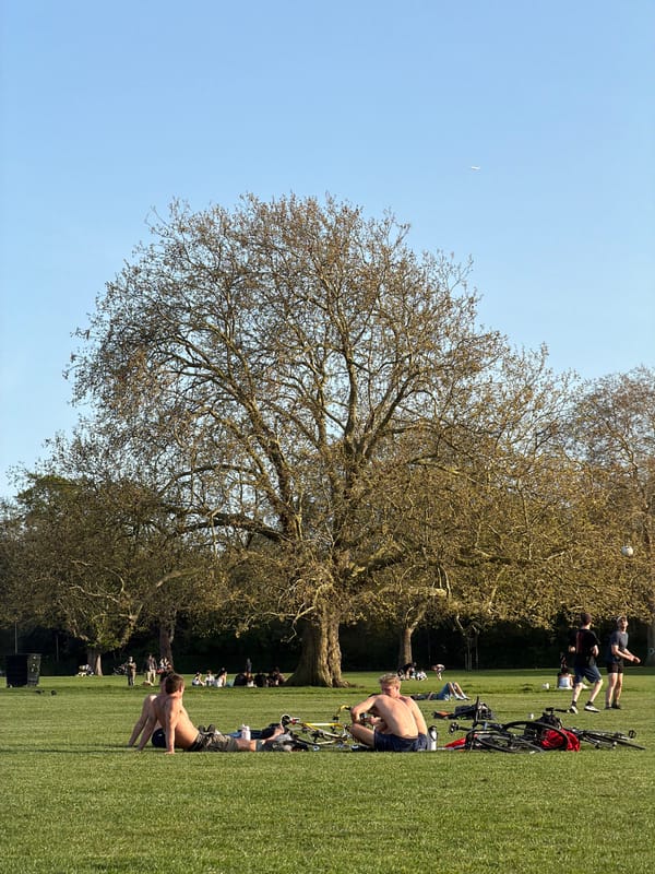 Londoners enjoy sunny afternoon in park as plane passes overhead
