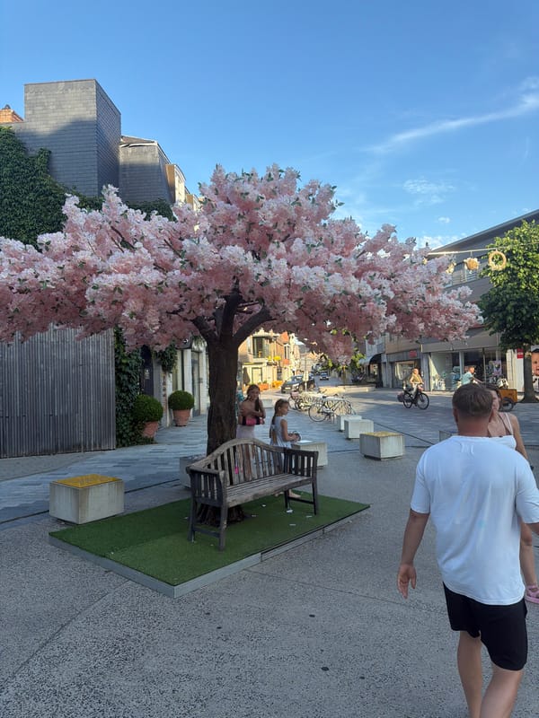 Lommel town center and a Southeast Asian-themed interior, June 2026