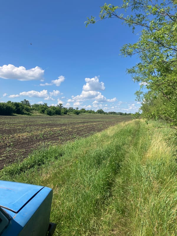 Rural Ukraine farmland documented under clear skies near Vyshneve