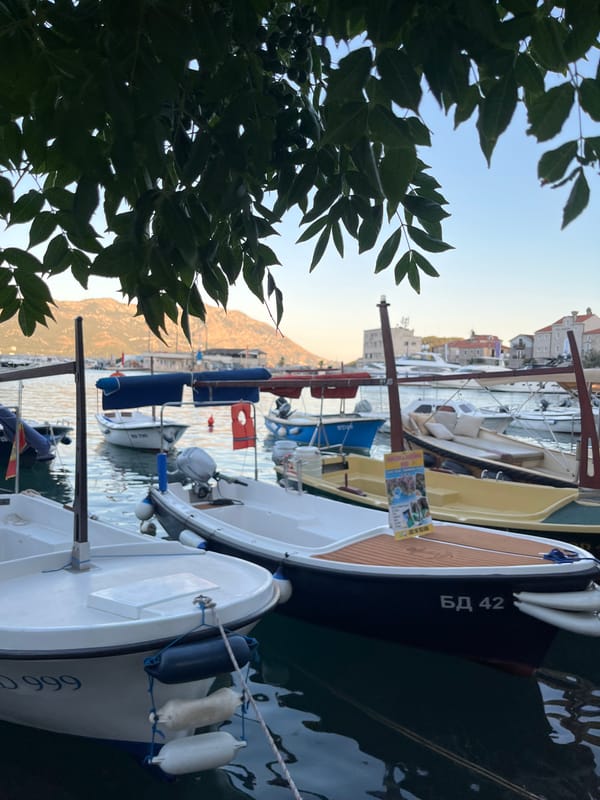 Harbor boats, a golden bell, and a curious black cat