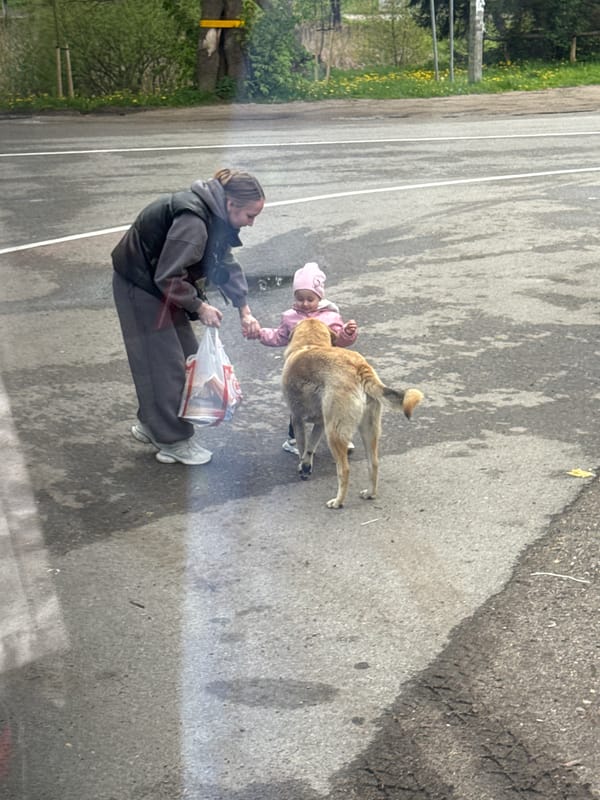 Woman with bag interacts with child on Russian road
