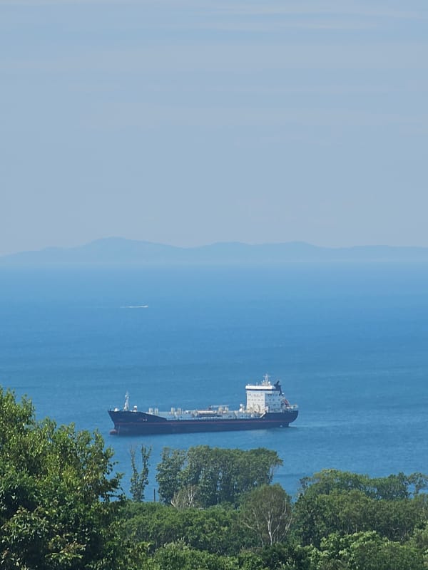 Tanker crossing Nakhodka Bay, viewed from forested coastal overlook