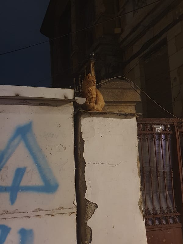 Easter egg sculptures displayed in Plovdiv public spaces