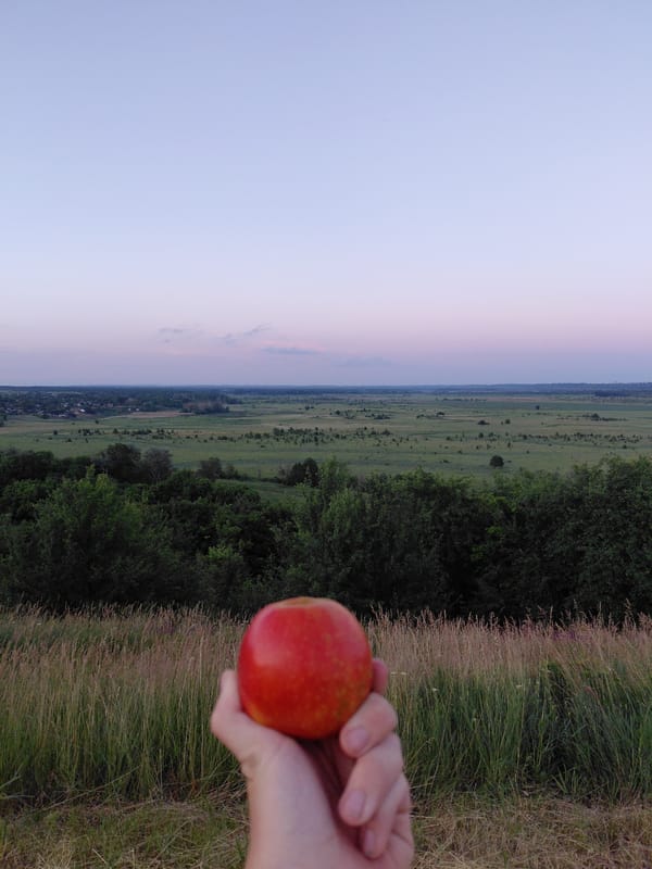 Evening picnic documented in rural Ukraine countryside at dusk