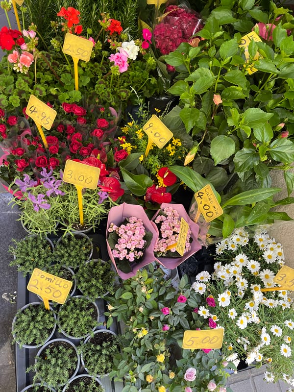 Woman takes mirror selfies while flower shopping in Barcelona