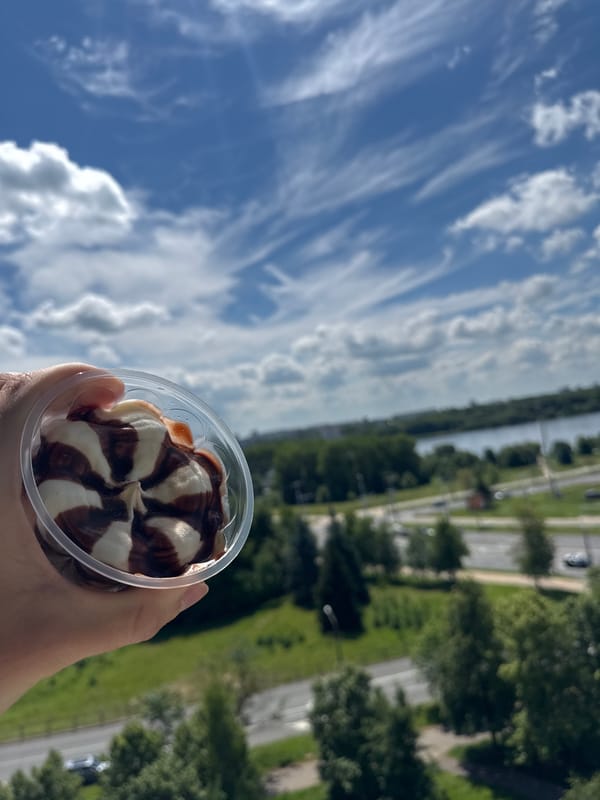 Ice cream, a small dog, and city views from above