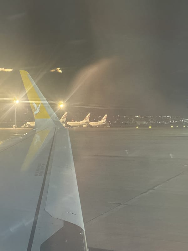 Tbilisi Airport Night: Sky Express Aircraft and Cat Spotted