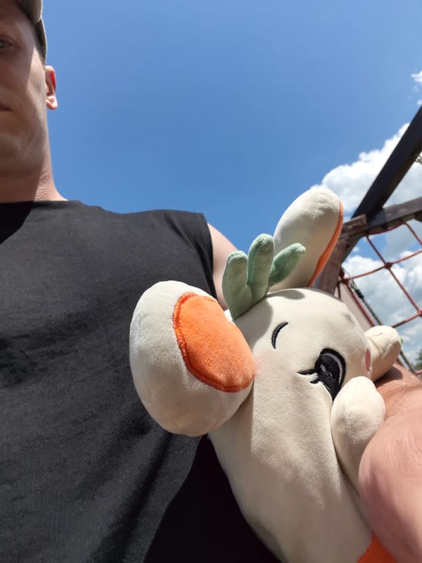 Toddler's morning at home and the playground