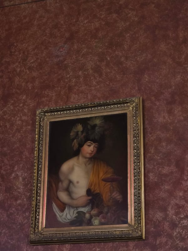 Visitors document ornate classical art in Vienna historical building