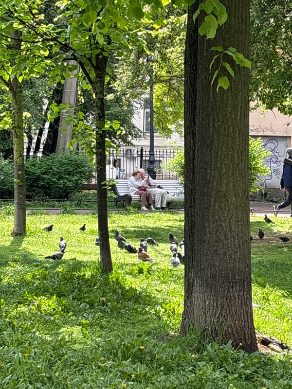 Two people rest on bench amid pigeons in St. Petersburg park