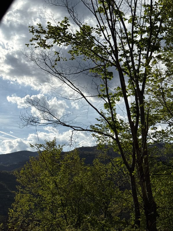 Bulgarian dam and mountain landscape documented in Mihalkovo