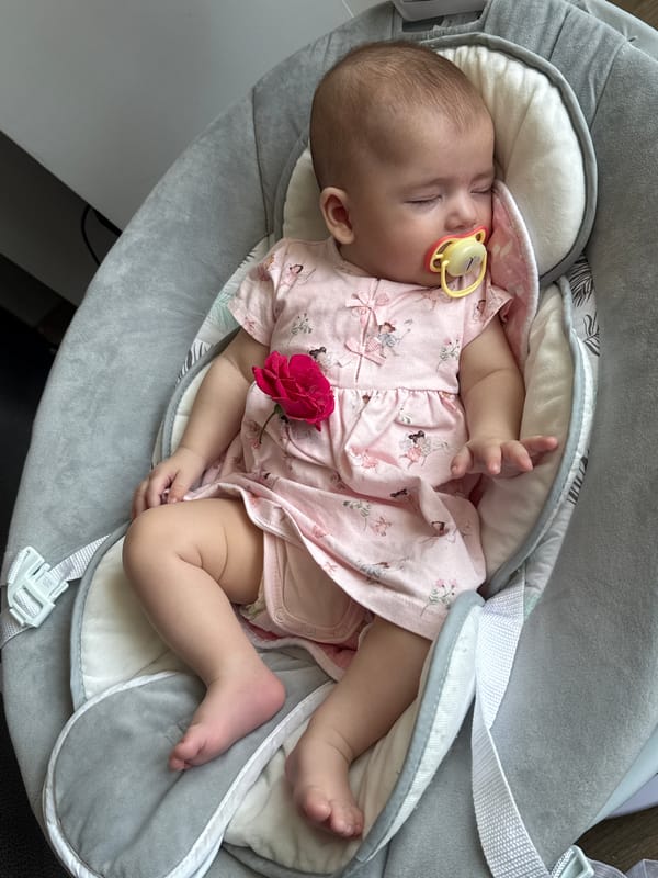 Baby moments, a Ferris wheel ride, and casual snapshots