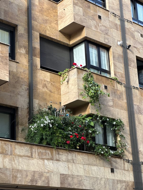 Witness documents everyday scenes across Oviedo, Spain