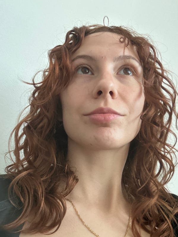 White cat kneading blanket, plant observed in Novi Sad