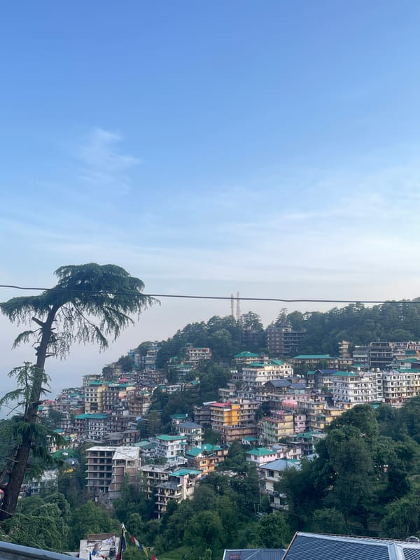 Hillside towns documented in Dharamkot-Bhagsu valley region