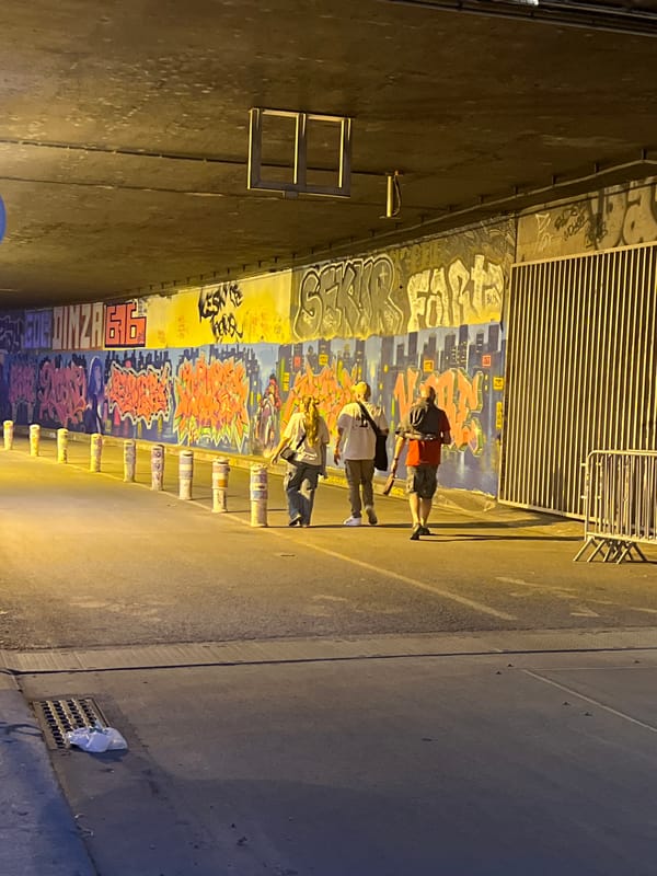 Evening street performances enliven Paris Seine riverfront during twilight hours