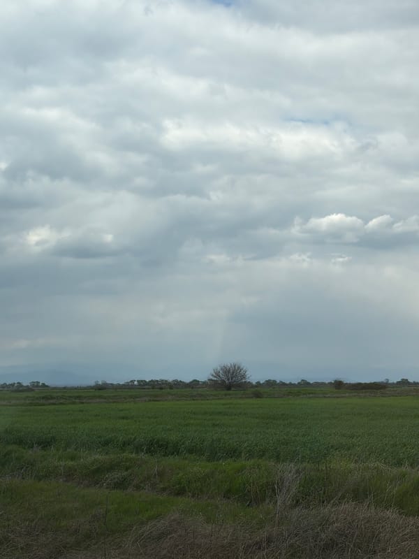 Overcast skies observed over rural Tsalapitsa, Bulgaria countryside