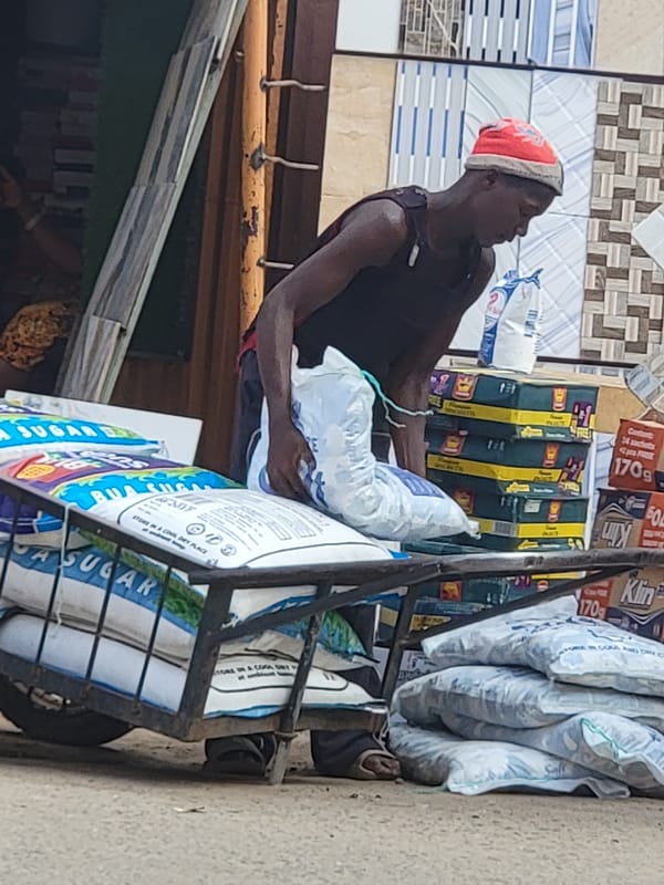 Daily market life documented in Maiburiji, Nigeria