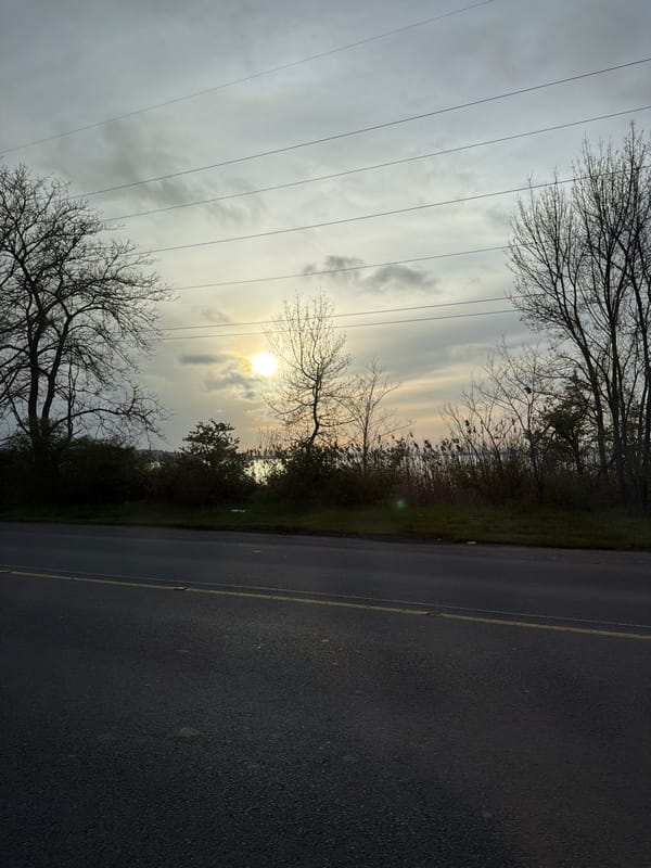 Roadside landscape captured during sunrise or sunset hours