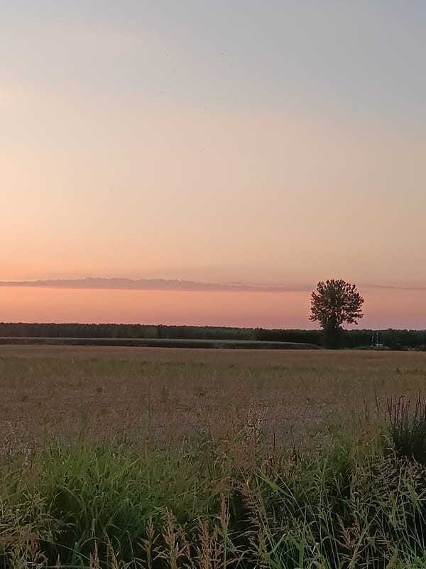 Sunset over rural fields near Viadana, Italy